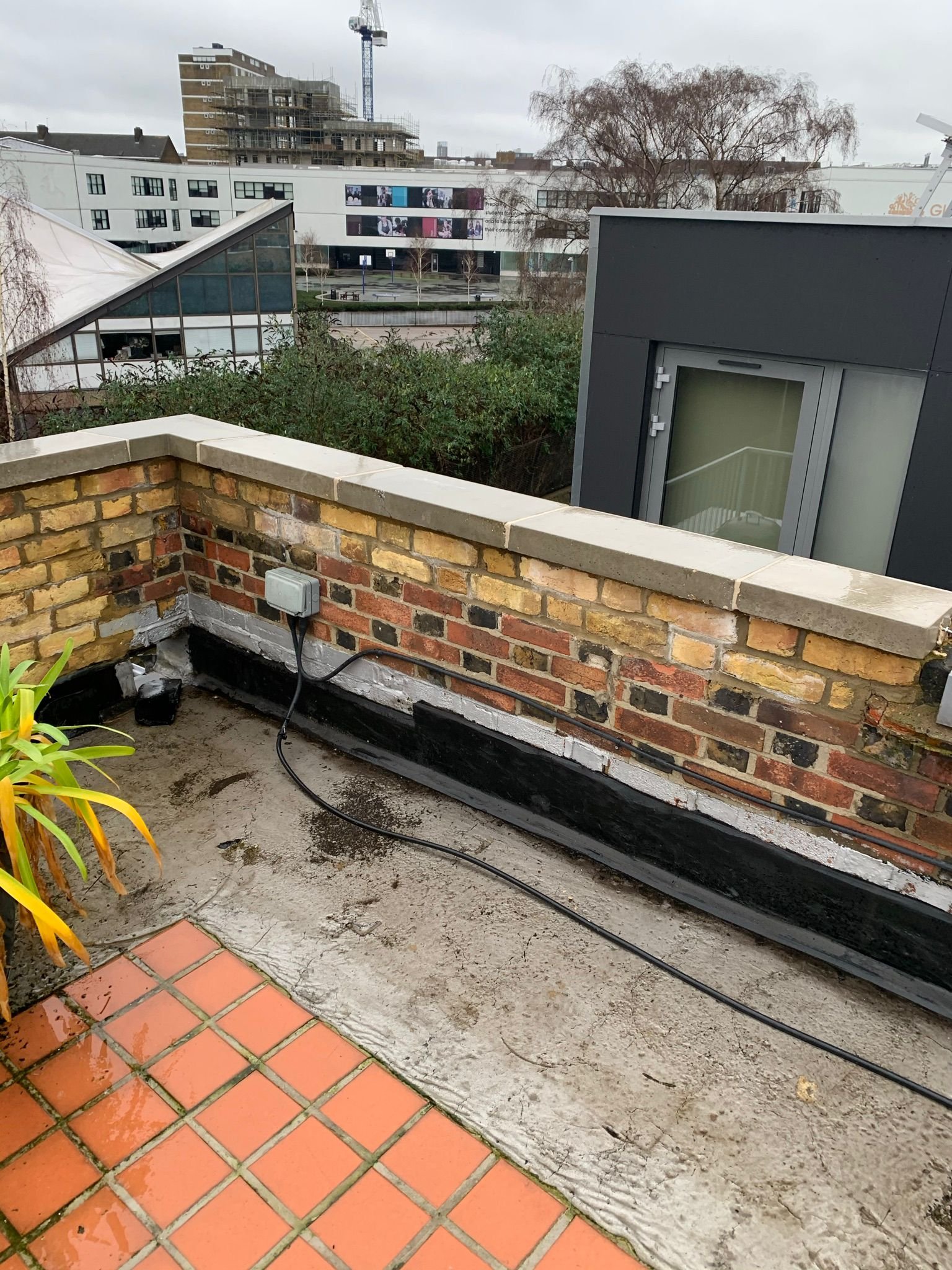 WhatsApp Image 2024-02-20 at 16.22.24 (1)