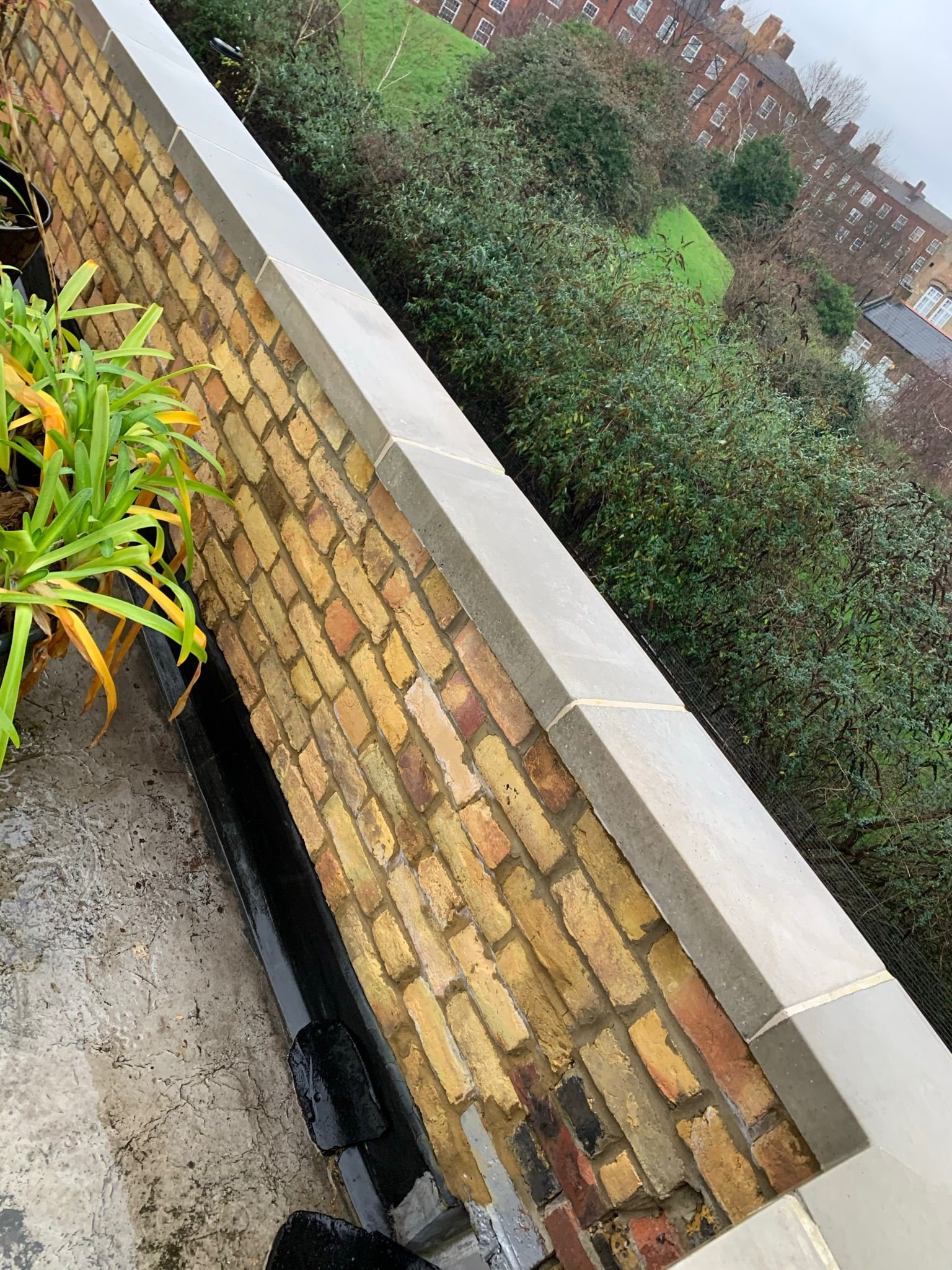 WhatsApp Image 2024-02-20 at 16.22.24 (2)