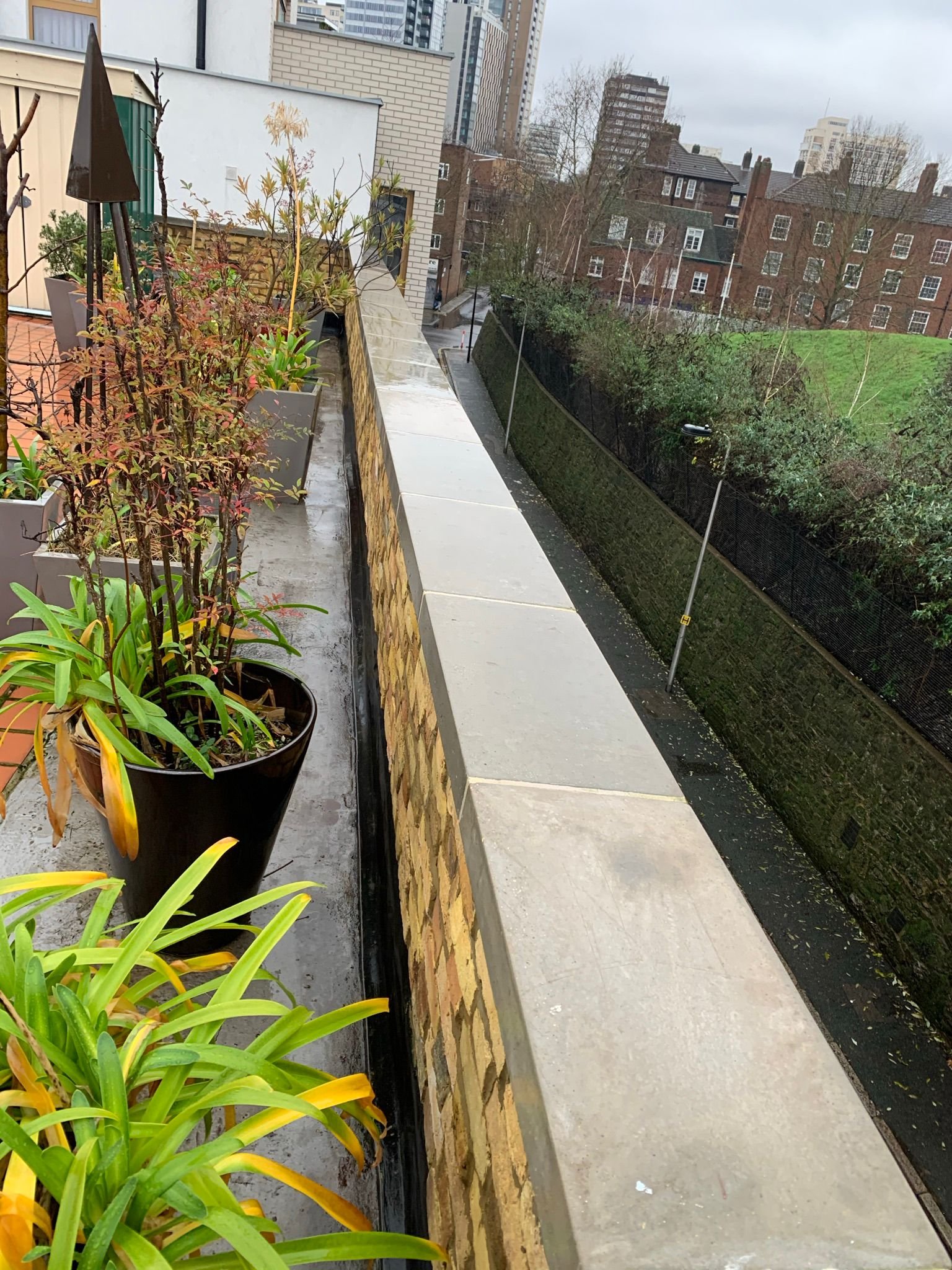 WhatsApp Image 2024-02-20 at 16.22.25 (1)