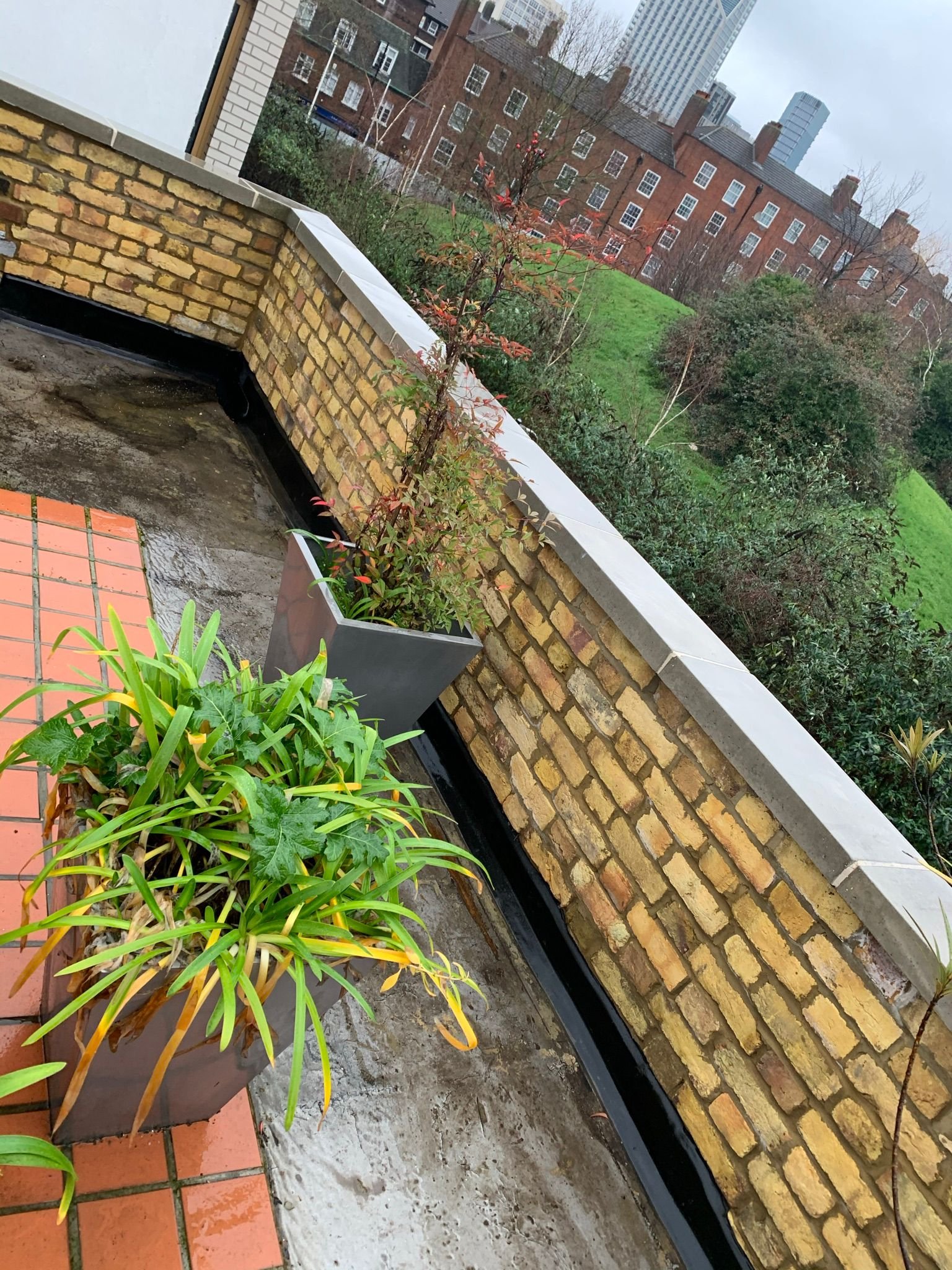 WhatsApp Image 2024-02-20 at 16.22.26