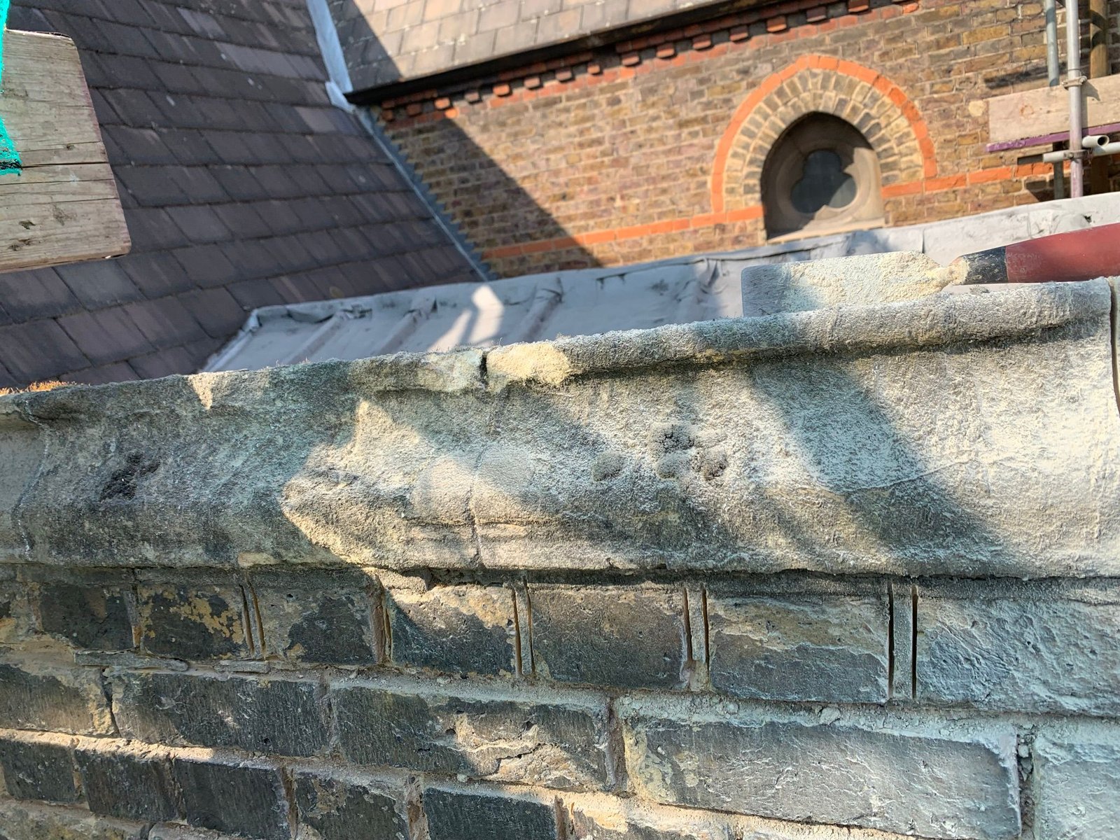 WhatsApp Image 2024-02-20 at 17.26.25